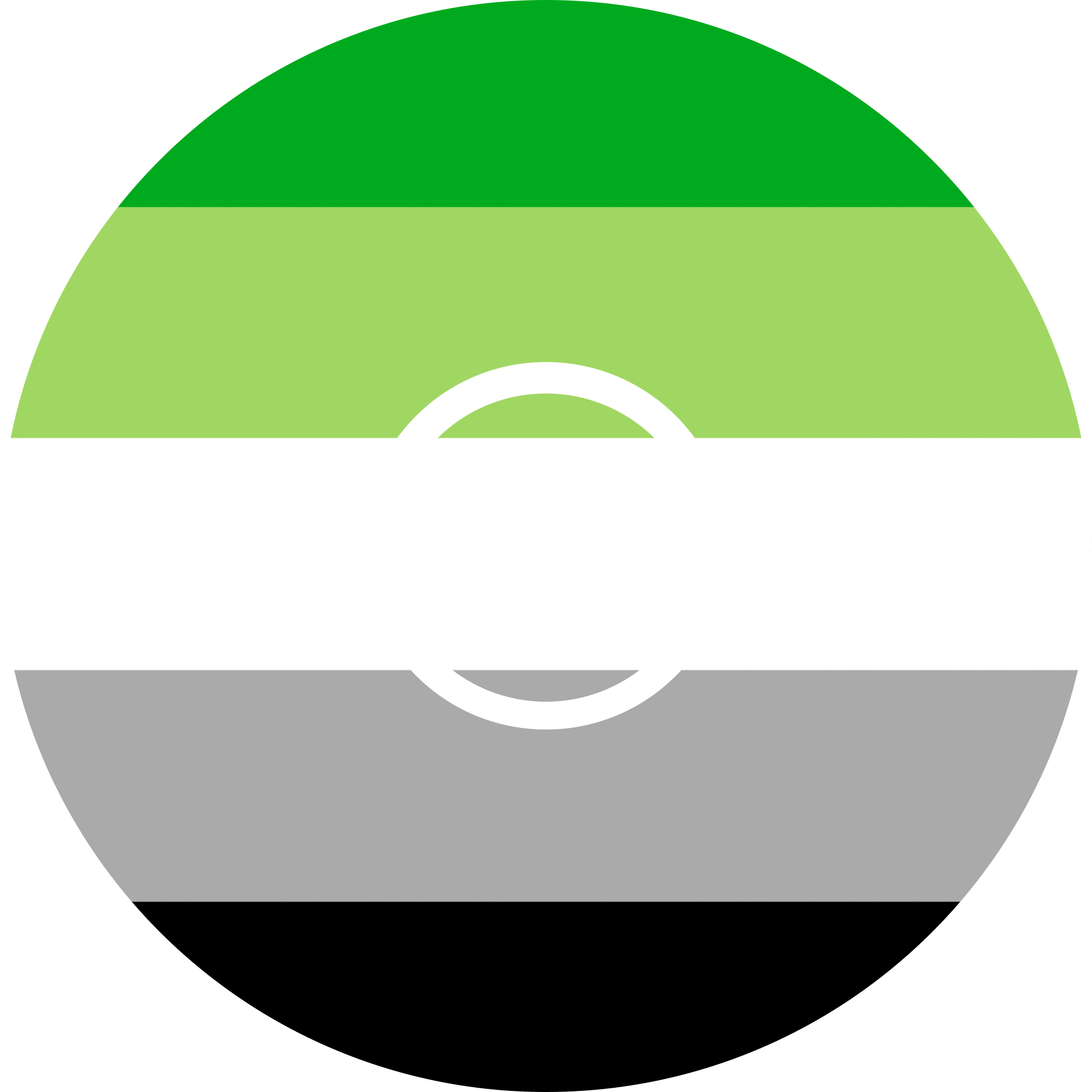 Aromantic Flag - Diabetes Overpatch - Diabetes For You