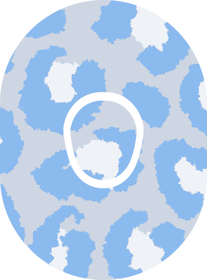 Blue Cheetah Diabetes Overpatch for Dexcom G7/G6, Libre, and Omnipod