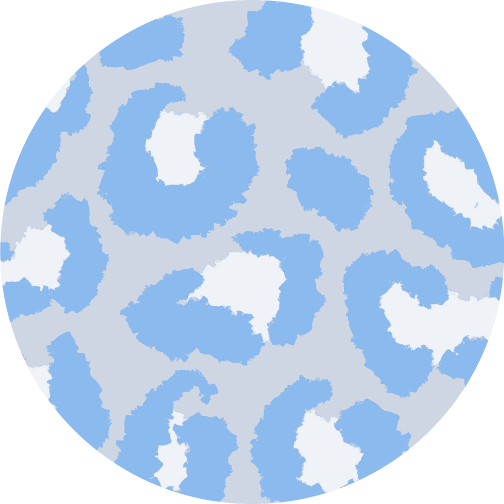 Blue Cheetah Diabetes Overpatch - Diabetes For You