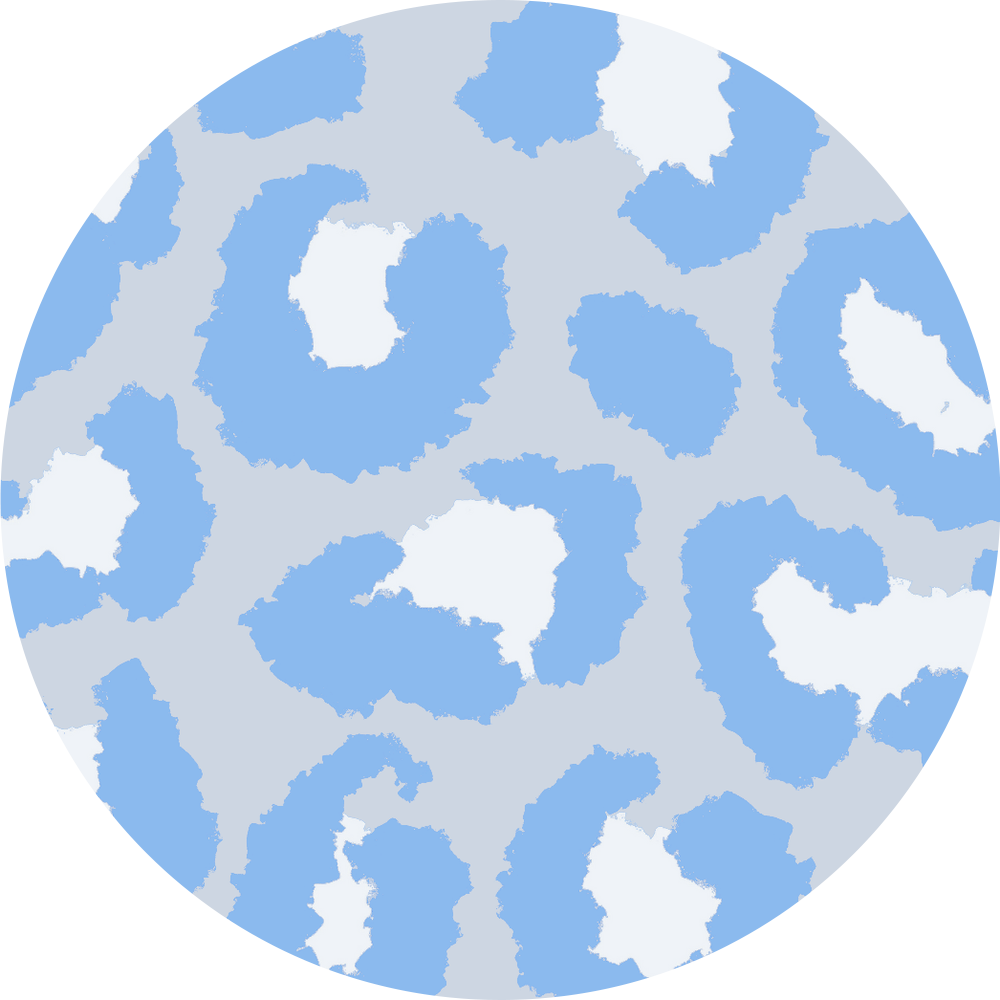 Blue Cheetah Diabetes Overpatch for Dexcom G7/G6, Libre, and Omnipod