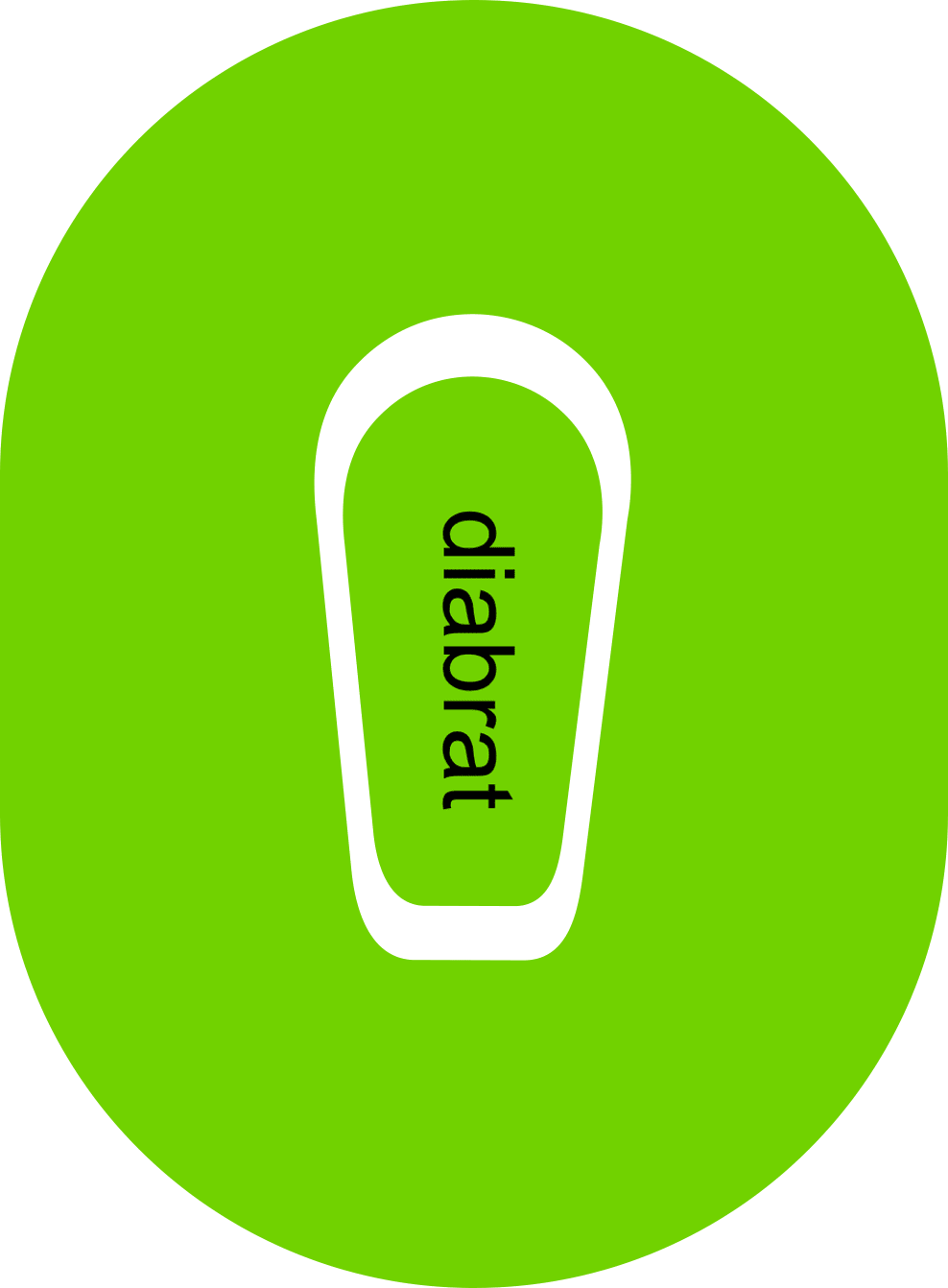 Diabrat Diabetes Overpatch Overpatch - Diabetes For You
