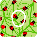 Beware.. The South London Ladybugs - Diabetes Overpatch