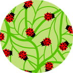 Beware.. The South London Ladybugs - Diabetes Overpatch