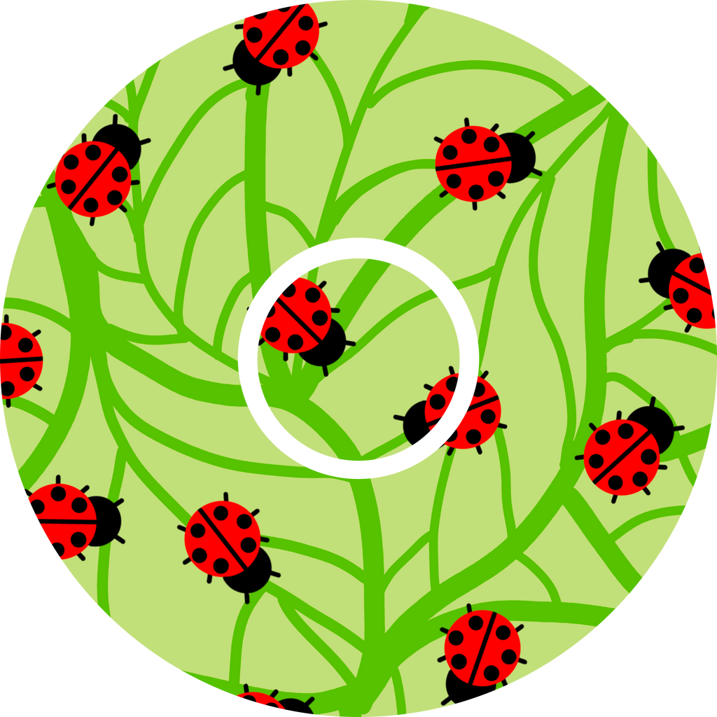 Beware.. The South London Ladybugs - Diabetes Overpatch