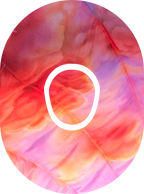 Taylor Swift Eras Tour-Inspired Diabetes Overpatch for Dexcom G7/G6, Libre, and Omnipod