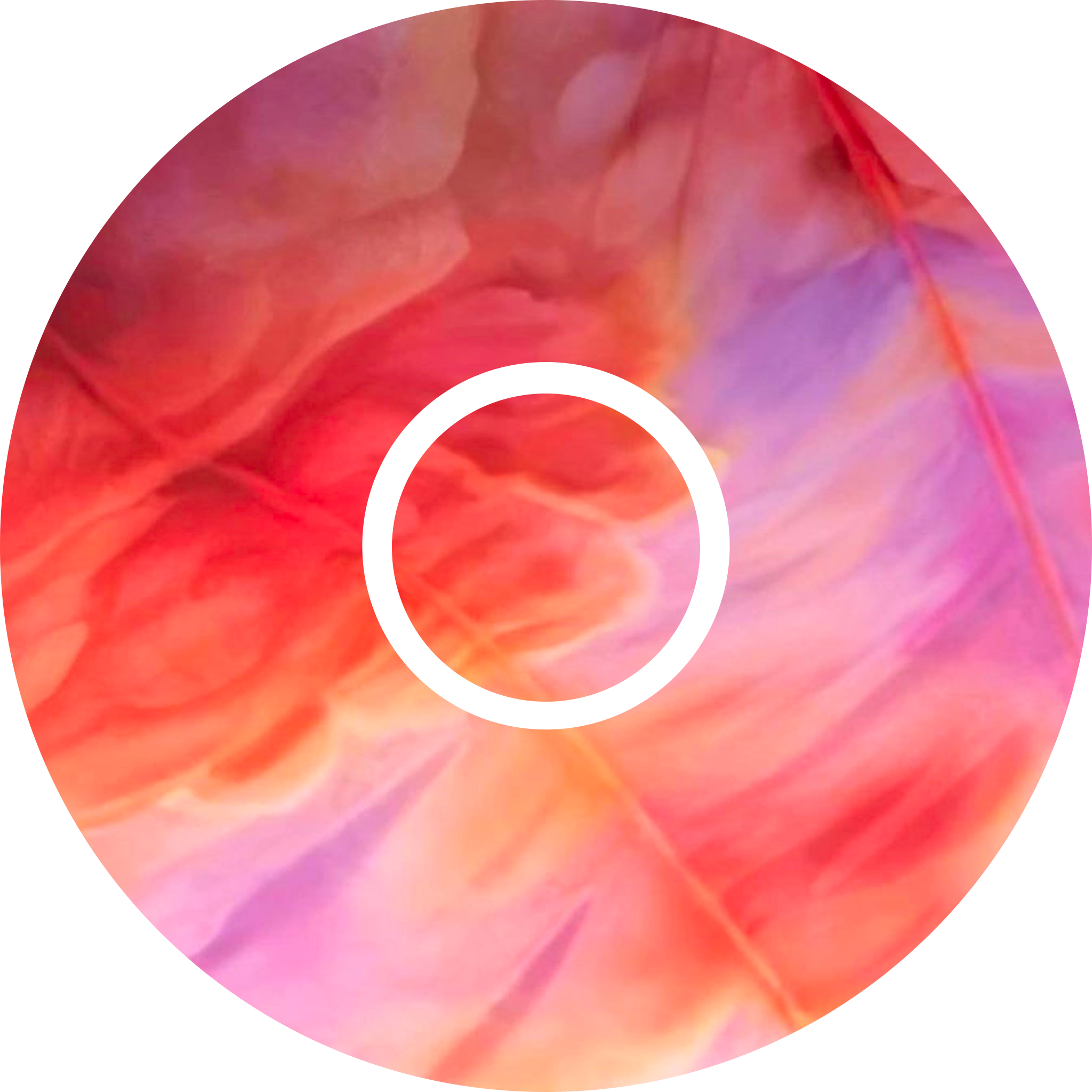 Taylor Swift Eras Tour-Inspired Diabetes Overpatch for Dexcom G7/G6, Libre, and Omnipod