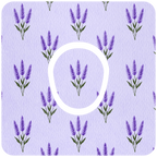Lavender Haze - Diabetes Overpatch - Diabetes For You